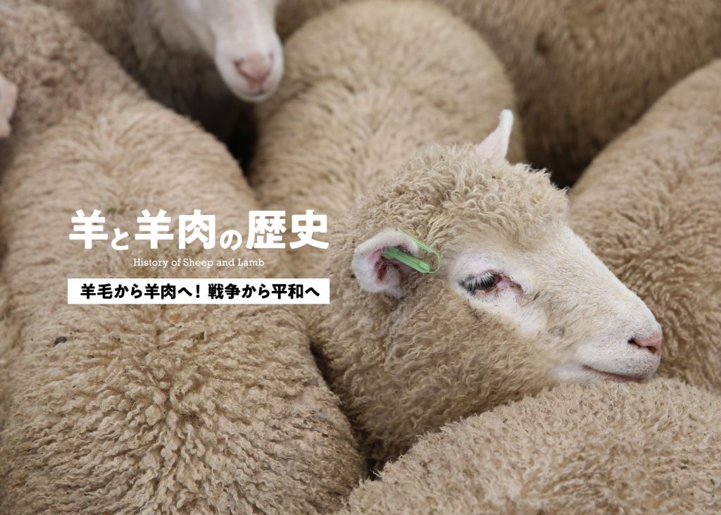 羊と羊肉の歴史3・羊毛から羊肉へ！ 戦争から平和へ | ラムバサダー公式サイト - Be a Lambassador!