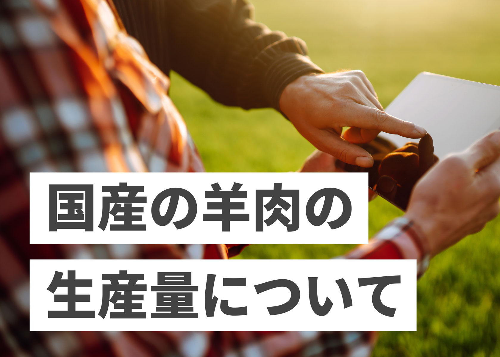 ちょっと脱線。国産の羊肉の生産量について