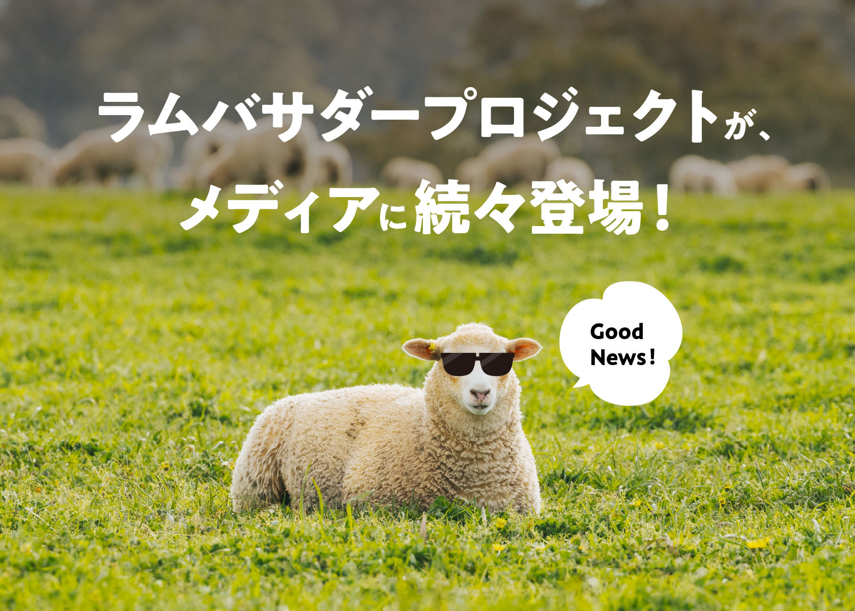 メディアにラムバサダープロジェクトが続々登場！！