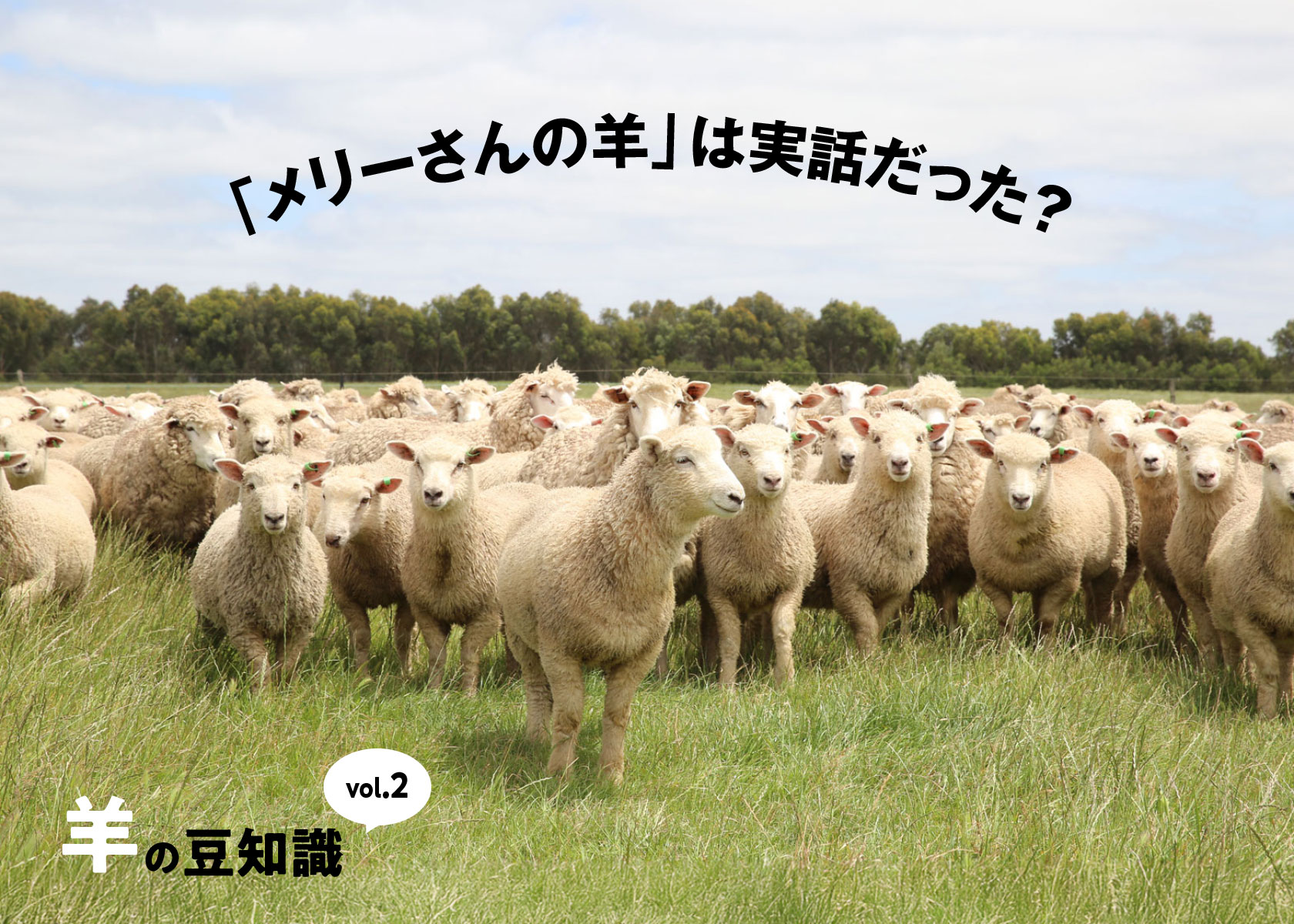 【羊の豆知識その２】羊といえばこの歌。実は「メリーさんの羊」は実話だった？