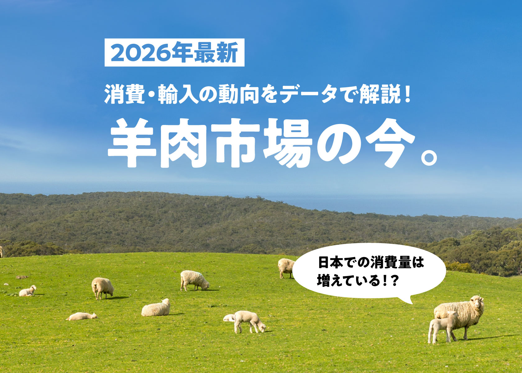 羊肉ってどれだけ食べられているの？？羊肉の輸入量は？？増減は？？2026年３月現在データでわかる最新の羊肉状況