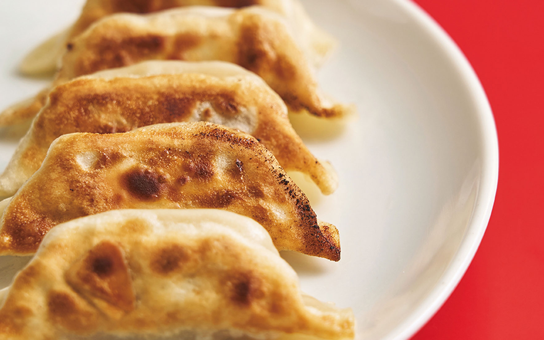 羊肉芹菜煎饺（ラムセロリ焼き餃子）